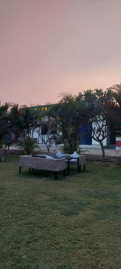 The Black Leaf Hotel Raipur  Bagian luar foto